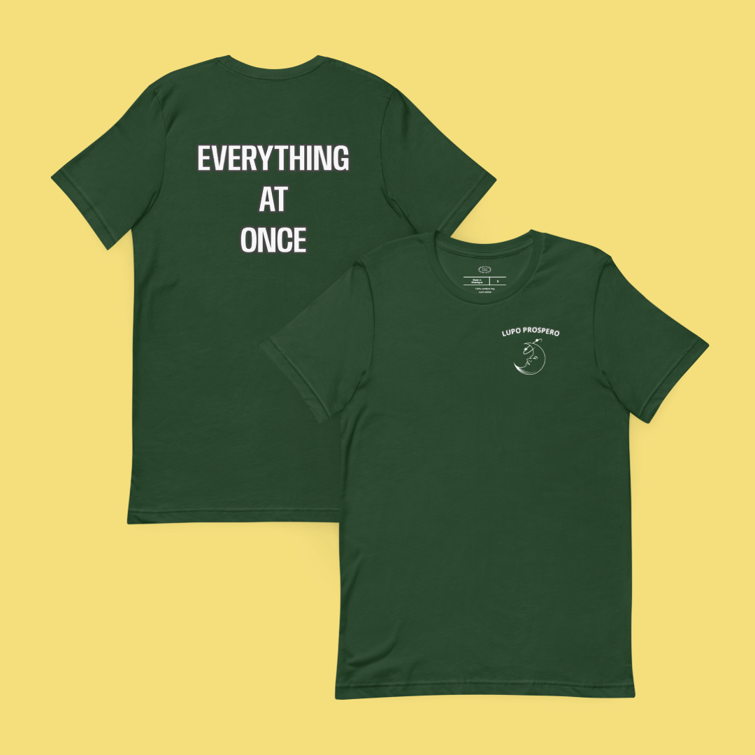 EVERYTHING AT ONCE Unisex t-shirt
